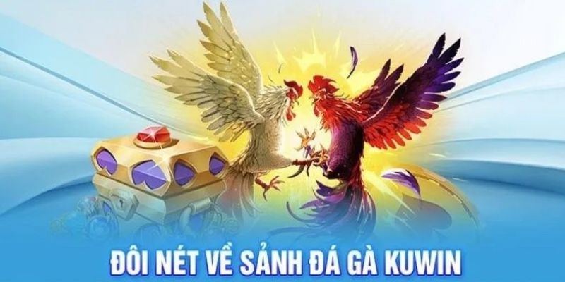 Tìm hiểu chung về sân chơi đá gà Kuwin