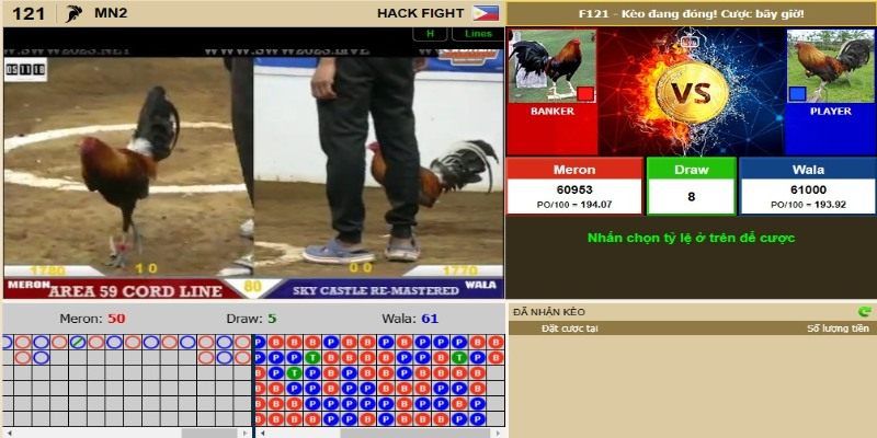 Lời khuyên của chuyên gia khi cược đá gà Kuwin