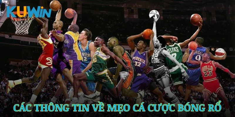 Những Lưu Ý Quan Trọng Trước Khi Tham Gia Cá Cược Bóng Rổ